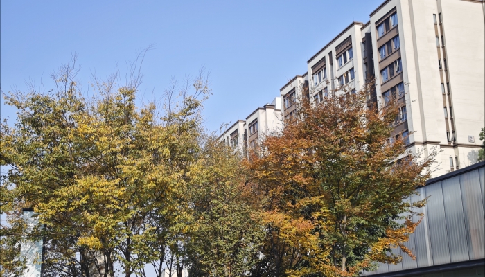 白露節氣的特點和風俗 白露節氣的風俗有哪些-易網<a href=http://www.aoa7937.com/ target=_blank class=infotextkey>健康養生</a>網 白露節氣的特點和風俗 白露節氣的風俗有哪些