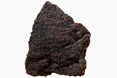 盤點樺樹茸的十大害處 揭秘樺樹茸不適用人群