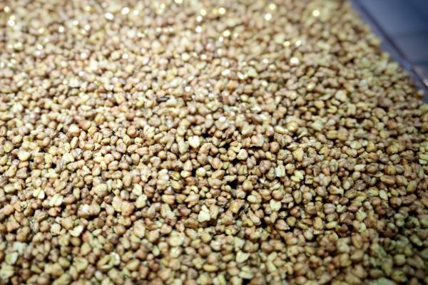 冬至為什么要吃蕎麥面-易網<a href=http://www.aoa7937.com/ target=_blank class=infotextkey>健康養生</a>網 冬至為什么要吃蕎麥面