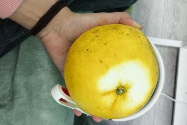 吃葡萄柚的禁忌有哪些