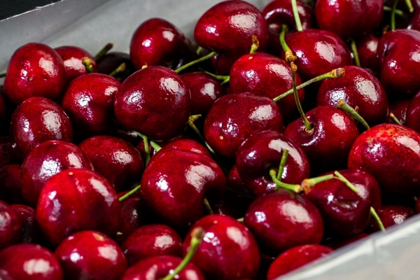 車?yán)遄舆m合糖尿病患者食用嗎-易網(wǎng)健康<a href=http://www.aoa7937.com/jkys/ target=_blank class=infotextkey>養(yǎng)生</a>網(wǎng) 車?yán)遄舆m合糖尿病患者食用嗎