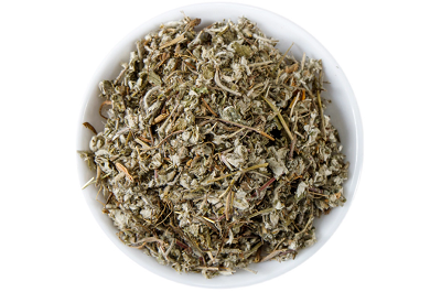 翻白草能治糖尿病嗎 盤點翻白草的七大功效-易網<a href=http://www.aoa7937.com/ target=_blank class=infotextkey>健康養生</a>網 翻白草能治糖尿病嗎 盤點翻白草的七大功效