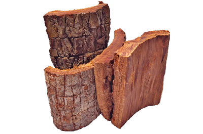 十大壯陽樹皮排名 壯陽的樹皮有哪些-易網(wǎng)健康<a href=http://www.aoa7937.com/jkys/ target=_blank class=infotextkey>養(yǎng)生</a>網(wǎng) 十大壯陽樹皮排名 壯陽的樹皮有哪些