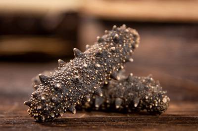 男人補腎10大補品 補腎吃什么食物最好-易網健康<a href=http://www.aoa7937.com/jkys/ target=_blank class=infotextkey>養生</a>網 男人補腎10大補品 補腎吃什么食物最好