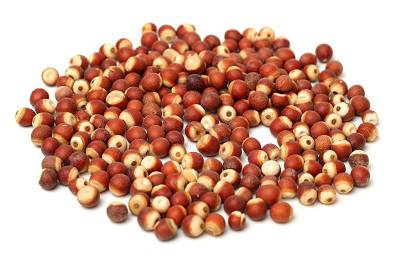 芡實對男性性功能主治 男人用芡實的四大作用