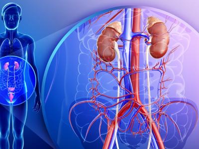 血肌酐超標不用慌！腎內科醫生推薦這5種食物有助于降肌酐