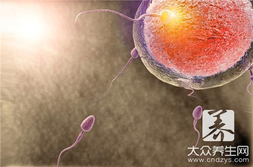 同房完能做卵泡檢測(cè)嗎 同房完能做卵泡檢測(cè)嗎