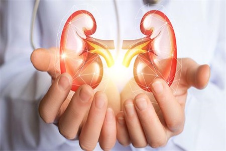 女性腎虛的表現(xiàn)，腎虛吃什么食物能補(bǔ)現(xiàn)在知道還不晚