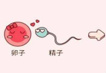 五十五女性如何提高受孕率?高齡產婦備孕前準備有哪些-易網健康養生網 五十五女性如何提高受孕率?高齡產婦備孕前準備有哪些