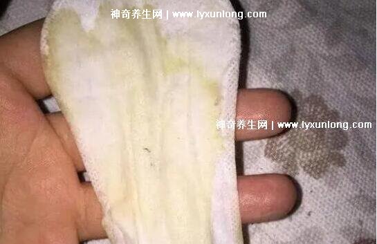 真實宮頸癌的早期出血圖片，接觸性出血是最明顯癥狀(女性必看)