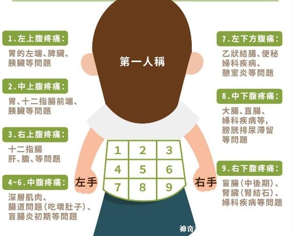 女性下腹疼痛部位圖解位置，左下腹痛警惕卵巢囊腫/輸卵管炎