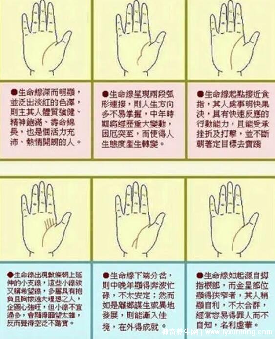 掌紋圖解女右手詳解，女人右手掌紋圖解算命(有財運線大富大貴)