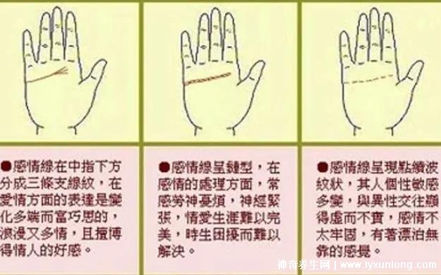掌紋圖解女右手詳解圖片，事業(yè)線到中指根部會(huì)有所成就