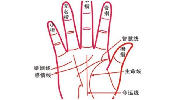 掌紋圖解女右手詳解，女人右手掌紋圖解算命(有財運線大富大貴)
