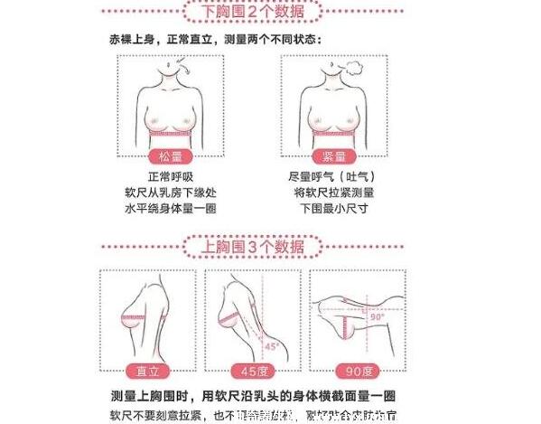 罩杯abcd怎么分大小怎么算，計算上下胸圍差(內衣尺寸參照表)