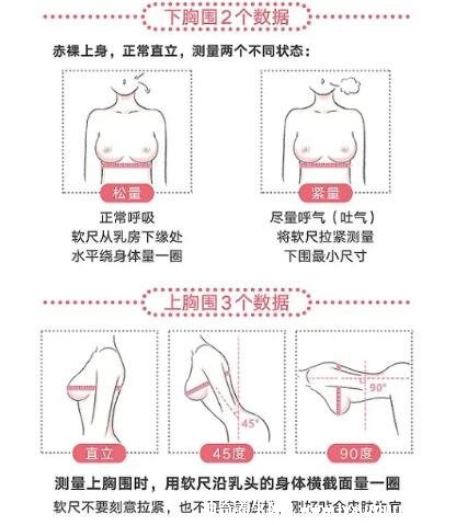 胸圍尺寸尺碼對照表，女生標準罩杯ABCD尺碼表(附測量方法)