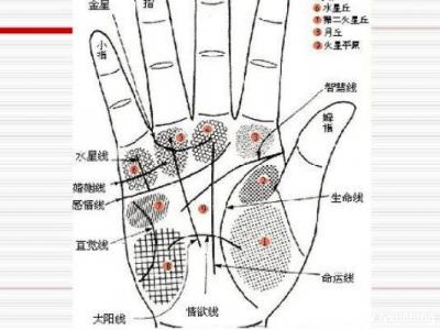 掌紋圖解女右手詳解圖片，事業(yè)線到中指根部會(huì)有所成就