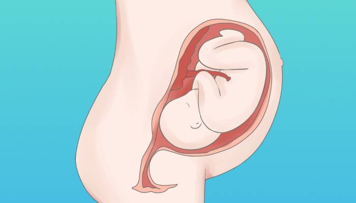 試管嬰兒與傳統懷孕有何不同 試管嬰兒技術的背景和意義-易網健康<a href=http://www.aoa7937.com/jkys/ target=_blank class=infotextkey>養生</a>網 試管嬰兒與傳統懷孕有何不同 試管嬰兒技術的背景和意義