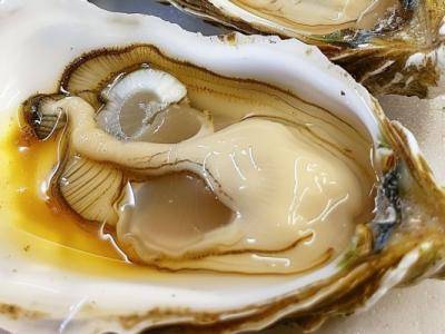 牡蠣對男性性功能有用嗎 男人性功能吃什么最補