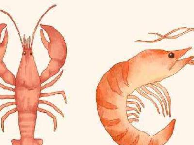 男人經(jīng)常刮胡子能提高性能嗎？這些食物也是可