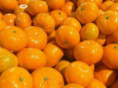 適量攝取維生素C才能更好治療尿道炎，維生素C如何維持尿道健康？