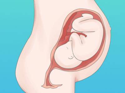 試管嬰兒與傳統(tǒng)懷孕有何不同 試管嬰兒技術(shù)的背景和意義