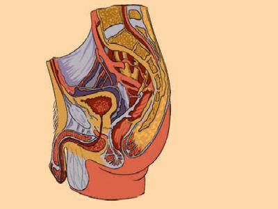 復發(fā)性生殖器皰疹的護理 生殖器皰疹如何治愈