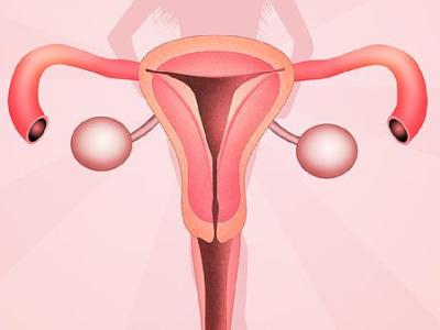 我是多發(fā)性子宮肌瘤吃桂枝茯苓膠囊有用嗎