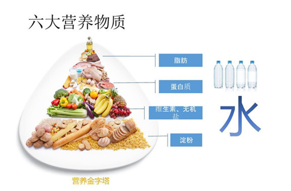 劉亦菲發(fā)福胖后依舊飲食不忌，怎樣吃才能保持好身材呢