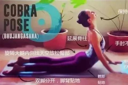練習(xí)瑜伽眼鏡蛇式動(dòng)作，千萬(wàn)注意避免這些誤區(qū)