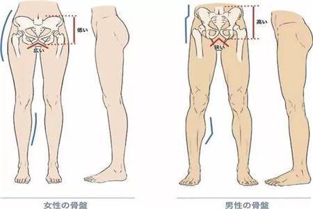瑜伽老師的私密體式動作教程分析，打開胯部正確練習瑜伽