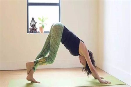 女性練習(xí)下犬式姿勢(shì)不規(guī)范，不如試試這樣的改進(jìn)動(dòng)作