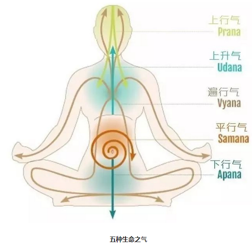 瑜伽動作進行增強氣息 鍛煉特殊瑜伽動作增強內氣