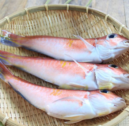 2019馬頭魚多少錢一斤?馬頭魚的功效與作用及食用方法-易網健康<a href=http://www.aoa7937.com/jkys/ target=_blank class=infotextkey>養生</a>網 2019馬頭魚多少錢一斤?馬頭魚的功效與作用及食用方法