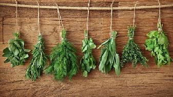 減肥妙招 有營養(yǎng)的食物不增肥-易網(wǎng)健康<a href=http://www.aoa7937.com/jkys/ target=_blank class=infotextkey>養(yǎng)生</a>網(wǎng) 減肥妙招 有營養(yǎng)的食物不增肥