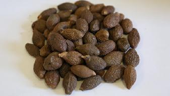 不節(jié)食也能減肥，學(xué)這幾個(gè)方法即可