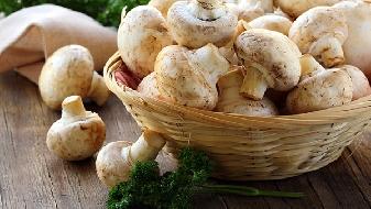 減肥能吃脂肪嗎,減肥時(shí)食用脂肪正確方式-易網(wǎng)<a href=http://www.aoa7937.com/ target=_blank class=infotextkey>健康養(yǎng)生</a>網(wǎng) 減肥能吃脂肪嗎,減肥時(shí)食用脂肪正確方式