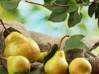 牙齒健康與體重有關(guān)嗎？減肥對(duì)牙有好處嗎？