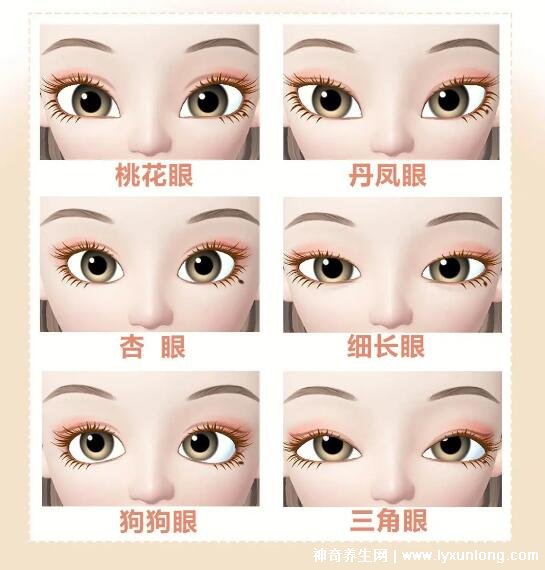 二十種眼形大全圖解，杏眼/狗狗眼/混血眼非常有特點