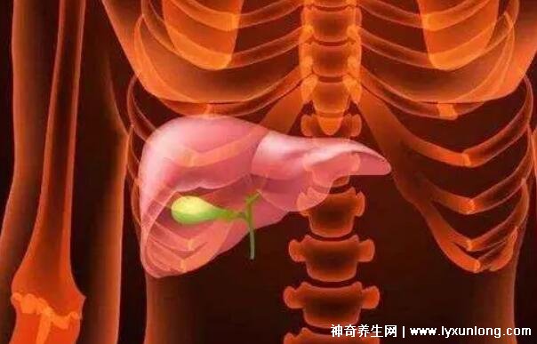 膽囊息肉最怕三種運動，散步/游泳/瑜伽(千萬別舉重爬山)