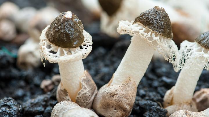 月經一周后減肥方法有哪些?經期過后如何減肥?-易網健康<a href=http://www.aoa7937.com/jkys/ target=_blank class=infotextkey>養生</a>網 月經一周后減肥方法有哪些?經期過后如何減肥?