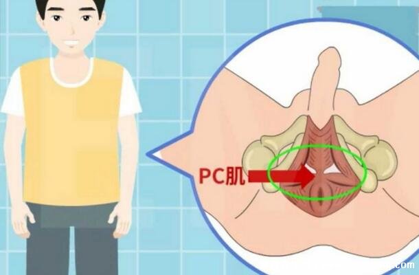 pc肌鍛煉害死我了，越鍛煉越弱(真的可以提高性功能)