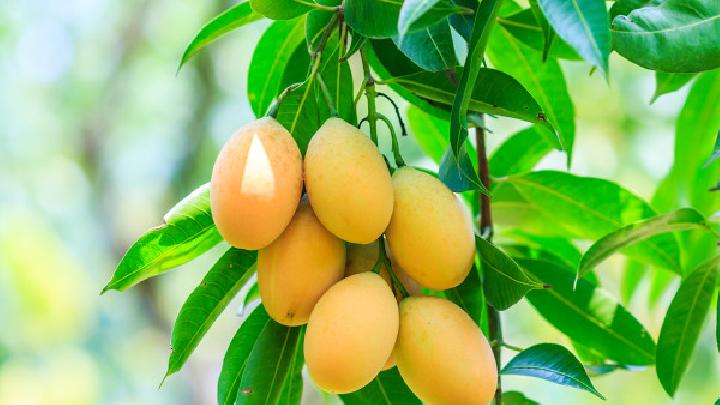 黃豆豆?jié){能不能減肥？如何喝豆?jié){能減肥？