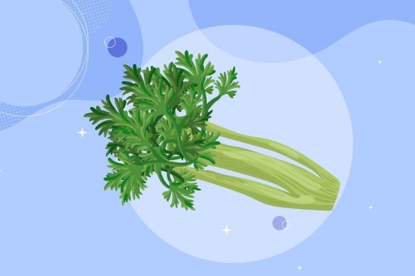刮油最狠的四種減肥蔬菜