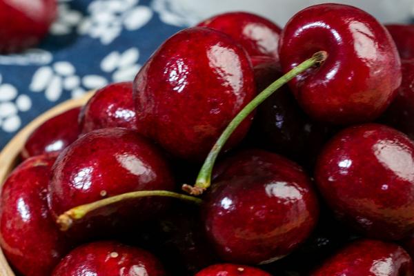 車?yán)遄訙p肥嗎