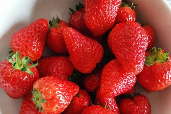 草莓吃多了會胖嗎