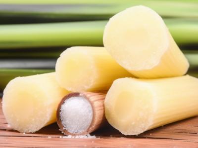 吃甘蔗會(huì)不會(huì)長胖