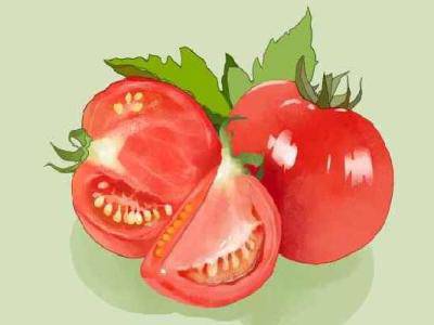 天天吃西紅柿能淡斑嗎 西紅柿的功效作用