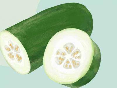 冬瓜湯可以減肥嗎 冬瓜的好處有哪些