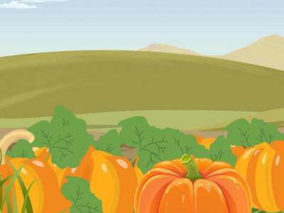 南瓜減肥的原理 南瓜怎么做好吃又減肥